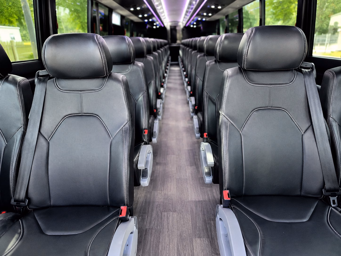 alexandria charter bus services