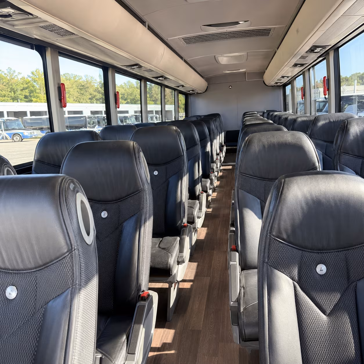 alexandria charter buses