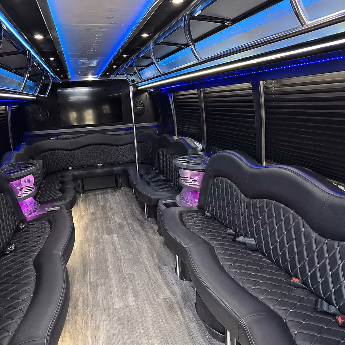alexandria party bus rental 3